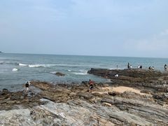 -盐洲岛