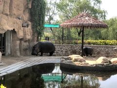 -沈阳森林动物园