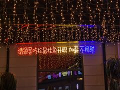 -吉丁鸟咖·异宠·寄养