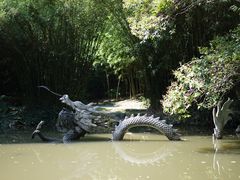 -汇龙潭