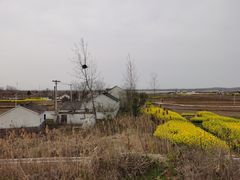 -恋山坝上草原