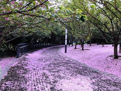 -苏州河梦清园环保主题公园