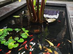 -都氏家DUSJOY(翡翠城店)