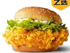 -麦当劳(红旗路店)