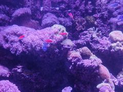 -太平洋海底世界