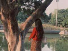 -东莞植物园