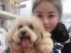 -致善宠物医院(体育路店)