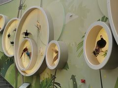 -陕西自然博物馆