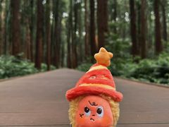-同里国家湿地公园