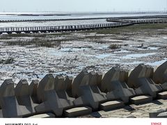 -南汇嘴观海公园