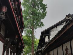 -黄龙溪古镇