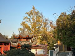 -上海东林寺(金山区)