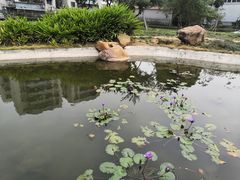 -陈李济中药博物馆