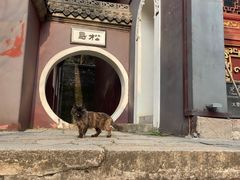 -长春观斋补堂素菜馆