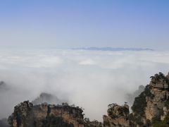 -印象鲵宴·张家界地标美食名片(溪布街店)