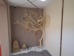 -悦尚生活空间•瑜伽普拉提•悦心芳香疗愈SPA