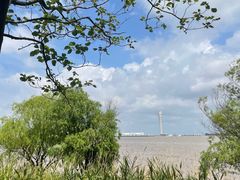 -上海吴淞炮台湾国家湿地公园