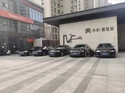 -蚂蚁婚车