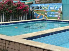-趣玩宠物乐园寄养训犬训狗游泳池