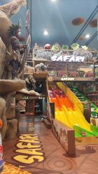 -卡通尼·Safari非洲探索乐园·生日会(金桥国际商业广场店)