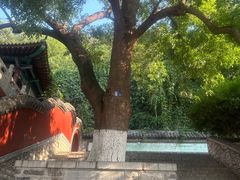 -千佛山风景名胜区