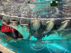 -魏铭鱼头捞饭(晋阳路店)