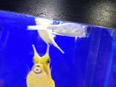 -大连圣亚海洋世界