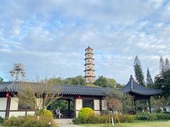 -江心屿景区