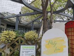 -贡湖湾湿地公园
