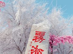 -雾凇岛
