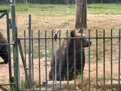 -秦皇岛野生动物园
