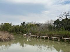 -西溪国家湿地公园