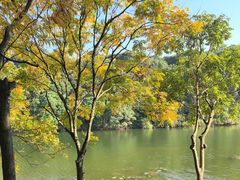 -福建鲤鱼洲酒店