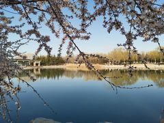 -大兴滨河森林公园