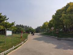 -塘沽森林公园