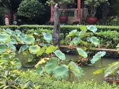 -东莞市可园博物馆