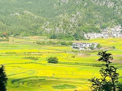 -万峰林风景区