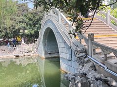 -西苑公园