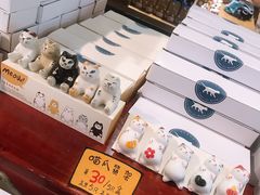 -猫咪博物馆(顶澳仔猫街店)