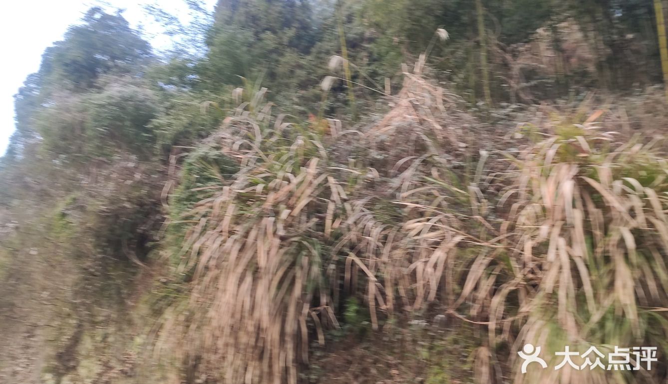 你知道你是在跟谁说话吗？信不信我现在就杀了你