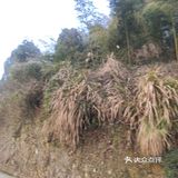 你知道你是在跟谁说话吗？信不信我现在就杀了你