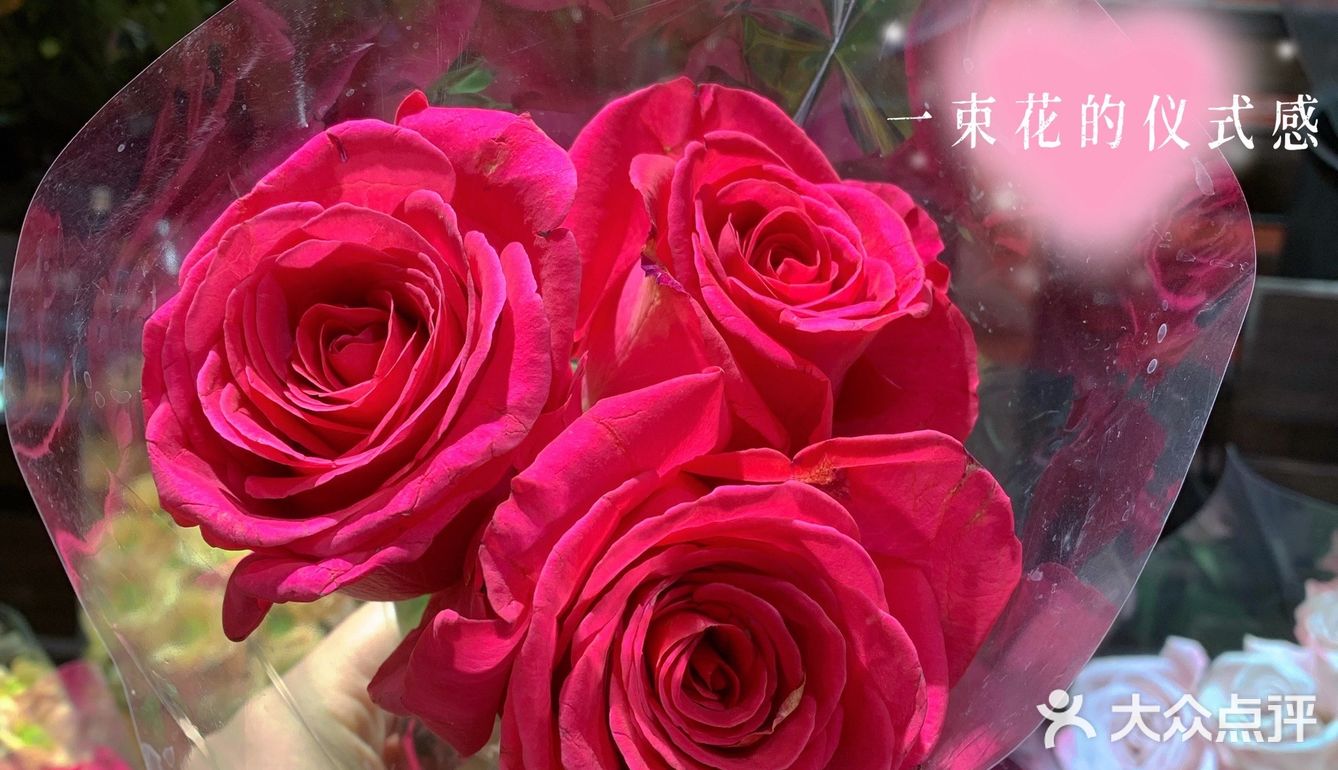 全球旗舰店[得意]北京首家优衣库花店🌹[礼花]绿啦❗️