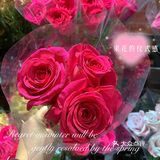 全球旗舰店[得意]北京首家优衣库花店🌹[礼花]绿啦❗️
