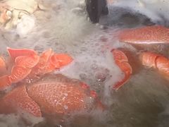 iphone_upload_pic-蓝湾碧波·老字号·疍家非遗海上餐厅
