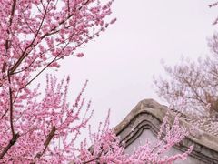 -三里河公园