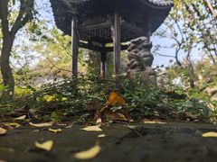 -朴园