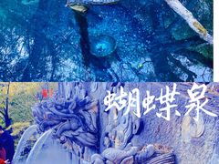 -蝴蝶泉公园