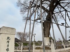 -观潮胜地公园