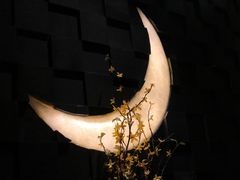 -月下料理(楷林IFC店)