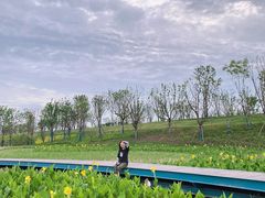 -七桥瓮公园